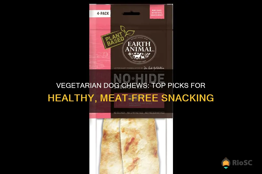 best dog chews for vegetarians