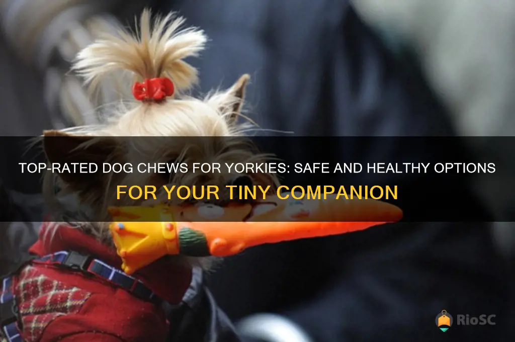 best dog chews for yorkies
