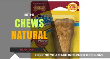 Natural Dog Chews: Top Picks for Healthy and Safe Chewing