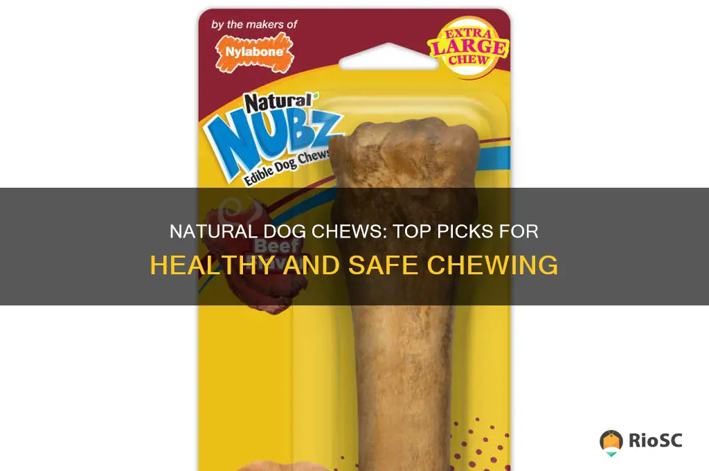 best dog chews natural