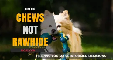 Safe and Healthy Alternatives to Rawhide: Top Dog Chews for Your Furry Friend
