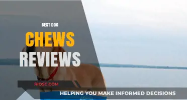 Top-Rated Dog Chews: Expert Reviews and Recommendations for Healthy, Durable Options