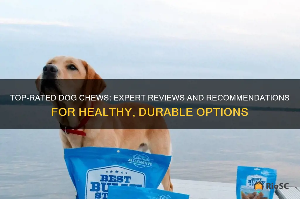 best dog chews reviews