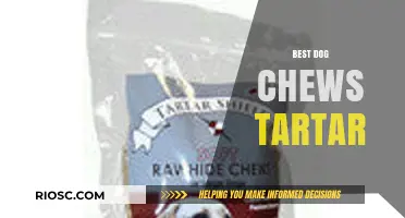 Top Tartar-Fighting Dog Chews: Keep Your Pup's Teeth Clean and Healthy