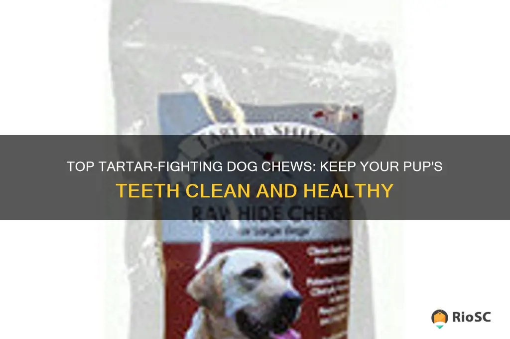 best dog chews tartar