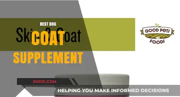 Top Dog Coat Supplements for a Shiny, Healthy Fur: Expert Picks and Tips