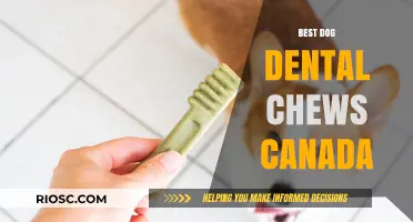 Top Dog Dental Chews in Canada: Keep Your Pup's Smile Healthy and Bright