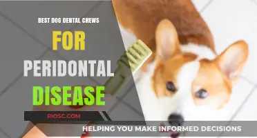 Top Dog Dental Chews to Combat Periodontal Disease and Promote Oral Health