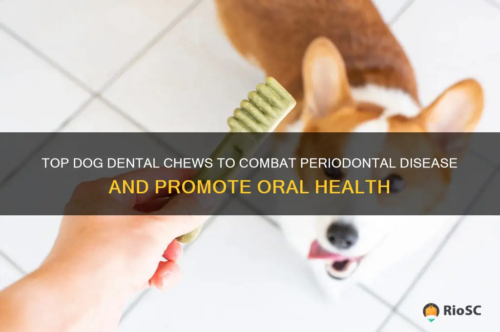 best dog dental chews for peridontal disease