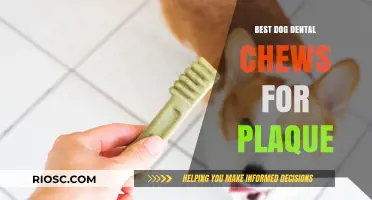 Top Dog Dental Chews to Fight Plaque and Promote Healthy Teeth