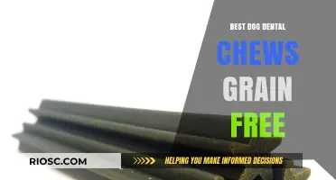 Grain-Free Dog Dental Chews: Top Picks for Healthy Teeth and Fresh Breath