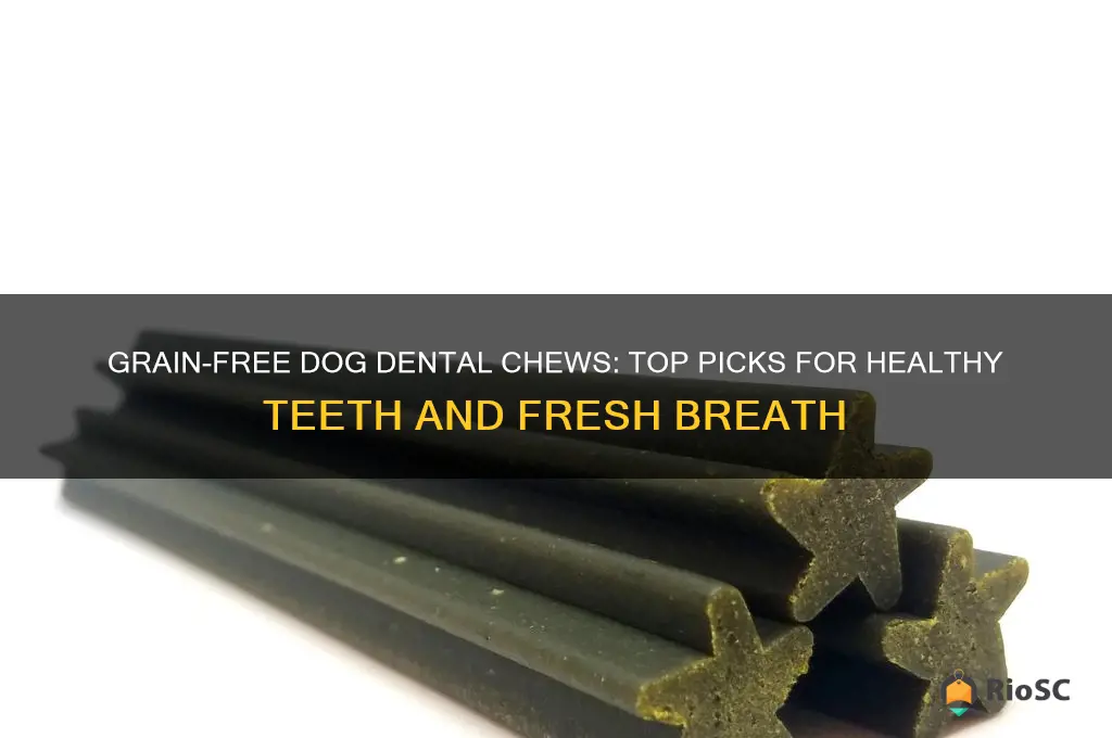 best dog dental chews grain free