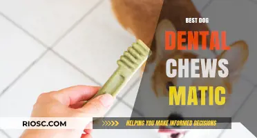 Matic's Top Picks: Best Dog Dental Chews for Fresh Breath and Healthy Teeth