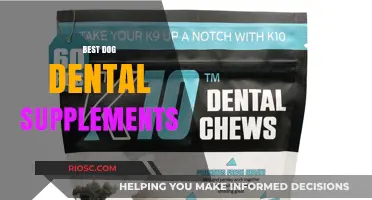 Top Dog Dental Supplements for Healthy Teeth and Gums: A Comprehensive Guide