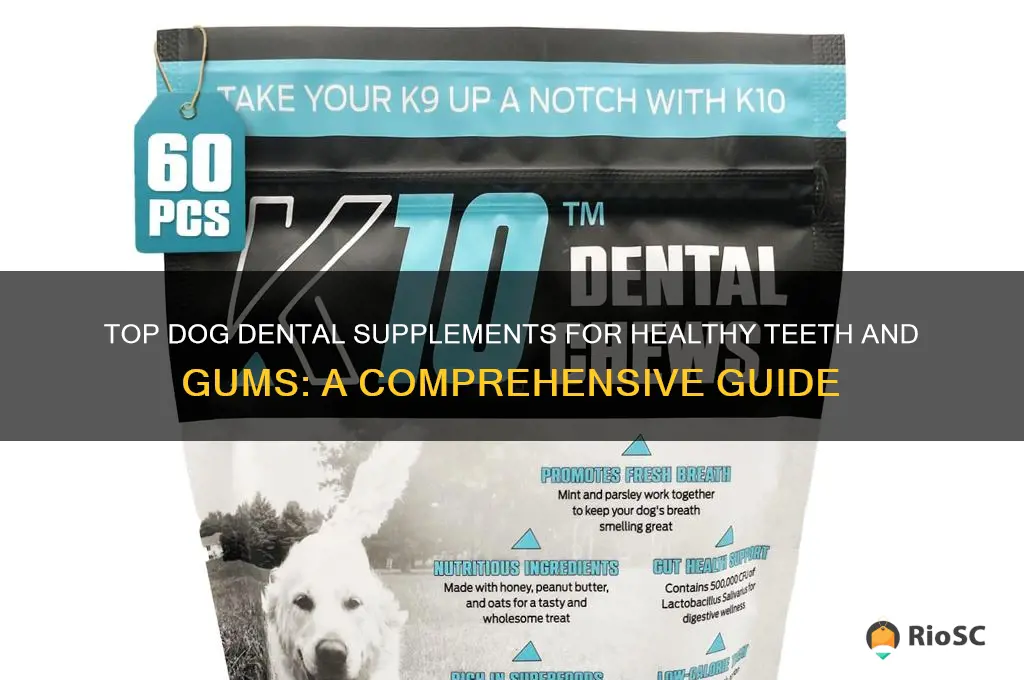 best dog dental supplements
