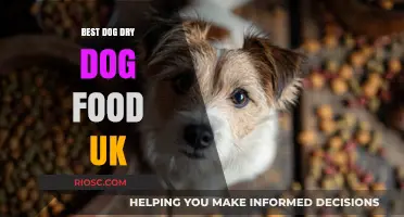 Top Picks for Your Canine Companion: The Best Dry Dog Food Options in the UK