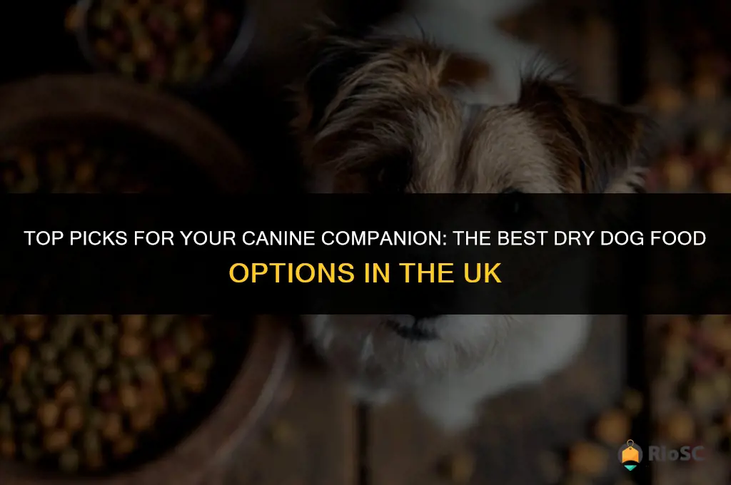 best dog dry dog food uk