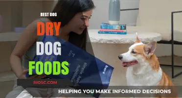 Top Picks for Your Furry Friend: The Best Dry Dog Foods of 2024