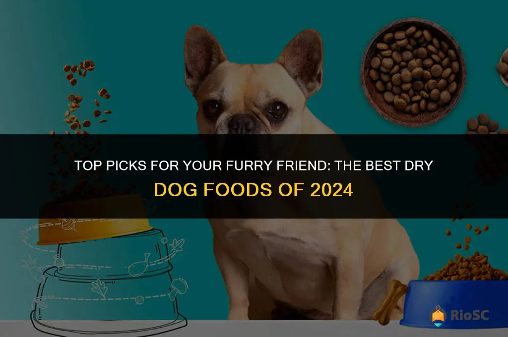 best dog dry dog foods