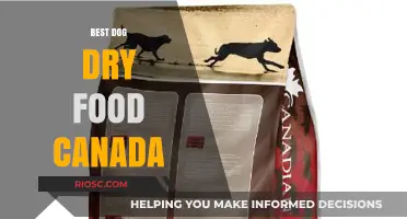 Top Picks for Your Furry Friend: The Best Dog Dry Food Options in Canada