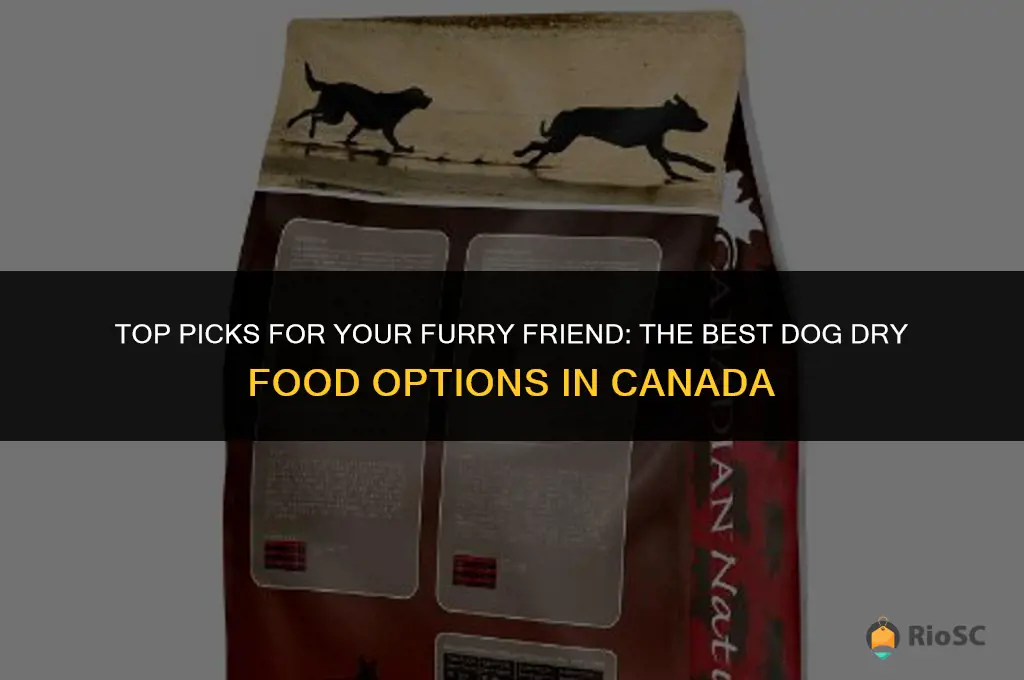 best dog dry food canada