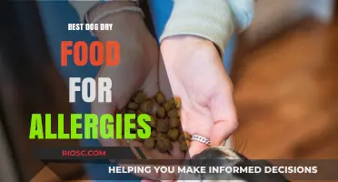 Top Picks for Allergy-Friendly Dog Dry Food: A Comprehensive Guide