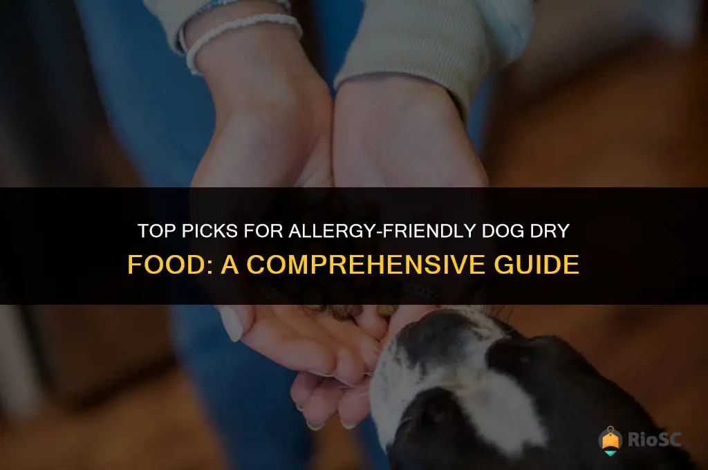 best dog dry food for allergies
