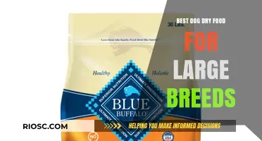 Top Picks for Large Breed Dogs: The Best Dry Food Options