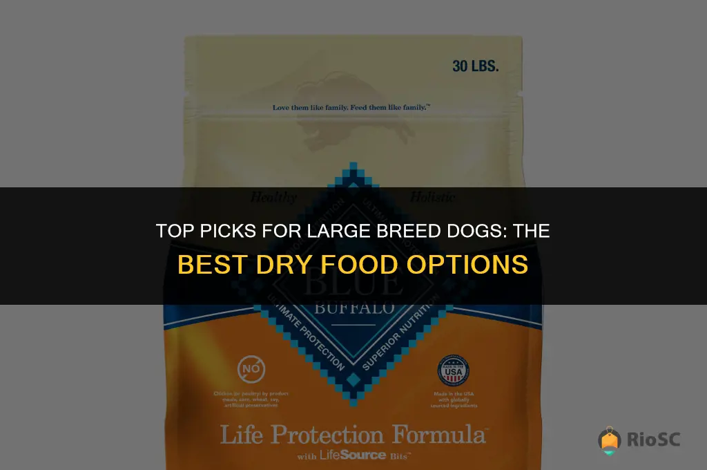 best dog dry food for large breeds