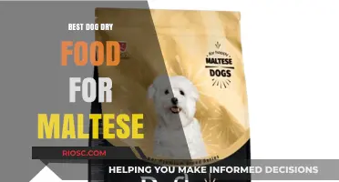 Top Picks for Maltese: The Best Dry Dog Food Options