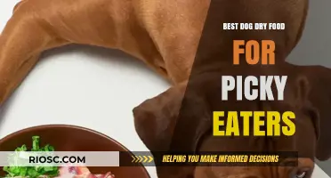 Top Picks for Picky Pooches: The Best Dry Dog Foods to Tempt Their Taste Buds