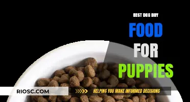 Nourishing Growth: Top Dry Food Picks for Your Puppy's Health and Happiness