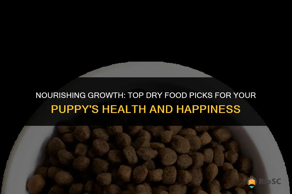 best dog dry food for puppies