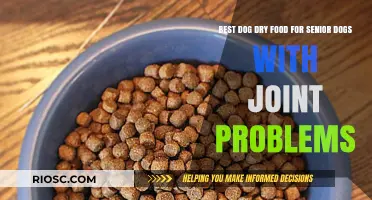 Top Picks for Senior Dogs: Dry Food Options to Support Joint Health