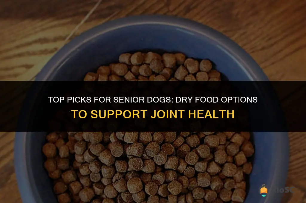 best dog dry food for senior dogs with joint problems