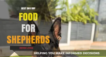 Top Picks: Premium Dry Food Options for Your Shepherd's Nutritional Needs