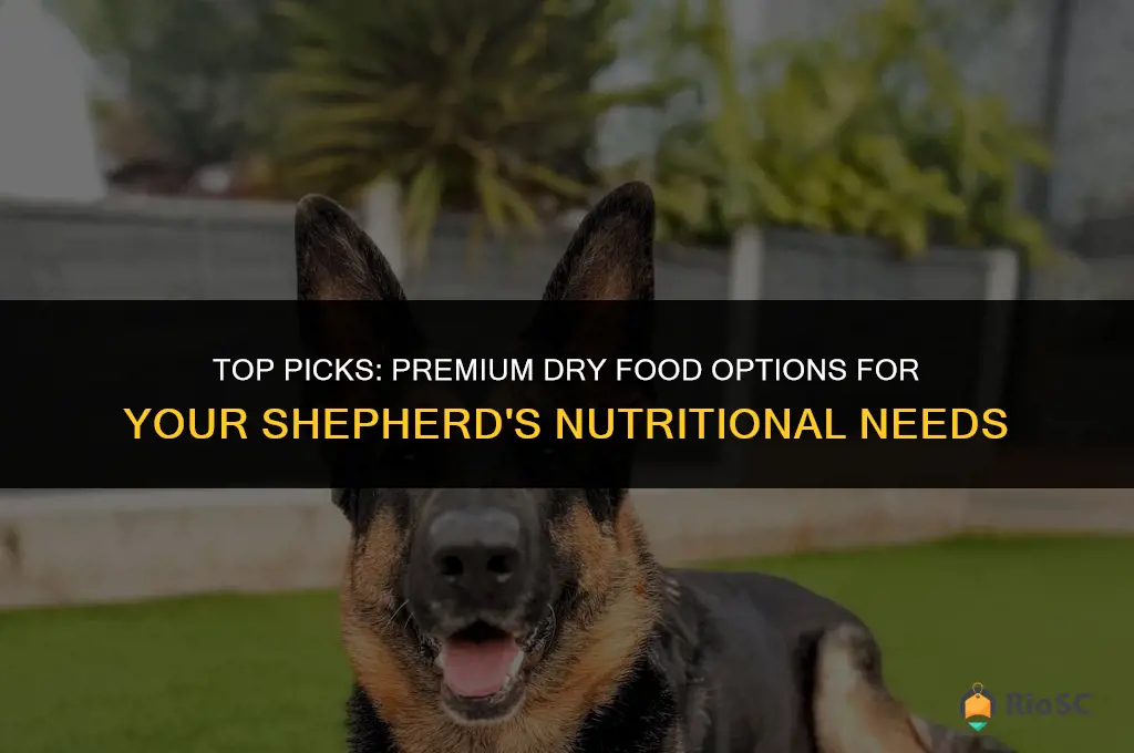 best dog dry food for shepherds