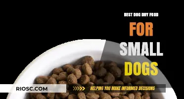 Top Picks for Tiny Tummies: The Best Dry Food Options for Small Dogs