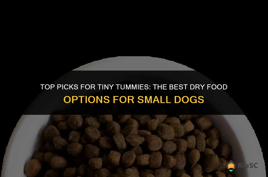 best dog dry food for small dogs