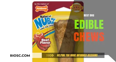 Top Dog-Approved Edible Chews for Healthy Teeth and Happy Pups