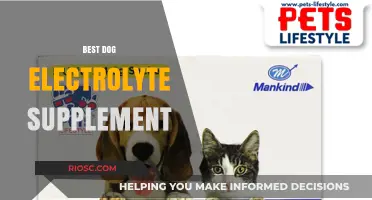 Top Dog Electrolyte Supplements: Boost Your Pup's Hydration and Energy