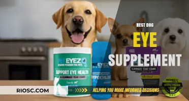 Top Dog Eye Supplements for Optimal Vision and Eye Health