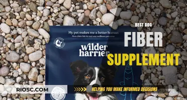 Top Dog Fiber Supplements for Optimal Digestive Health