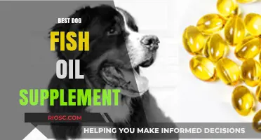 Top-Rated Dog Fish Oil Supplements for Optimal Health and Shiny Coats