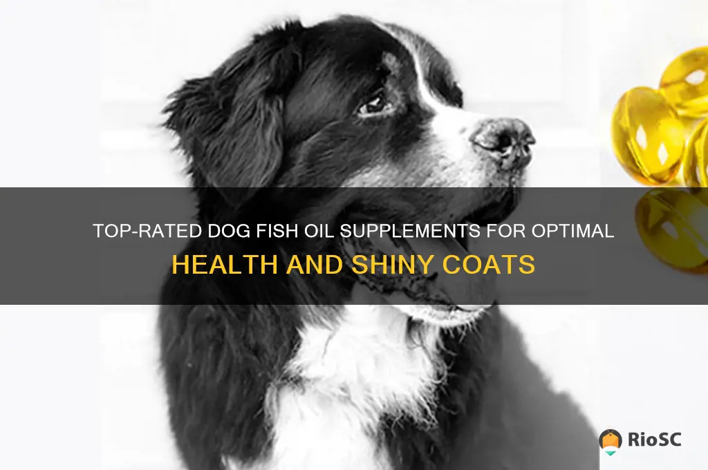 best dog fish oil supplement