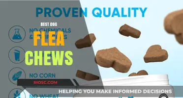 Effective and Safe Dog Flea Chews: Top Picks for Flea Prevention and Treatment