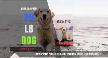 Nutrition for Your Medium-Sized Companion: Top Dog Food Picks for 30-Pound Pups