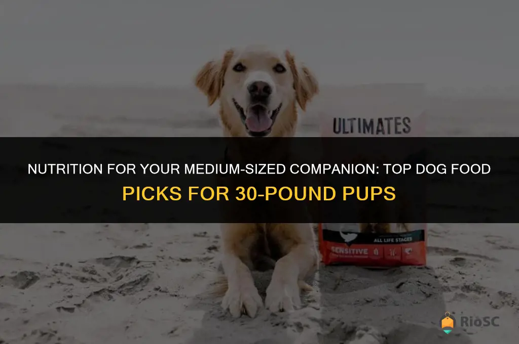 best dog food 30 lb dog