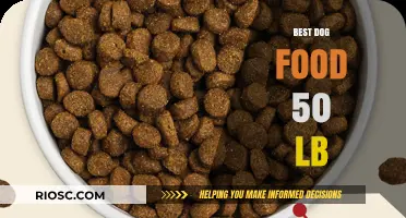 Top Picks for Nourishing Your Large Breed Dog: The Best 50-Pound Dog Food Options