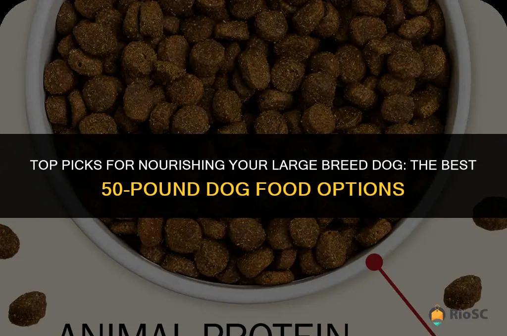 best dog food 50 lb